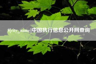 德阳中国执行信息公开网查询