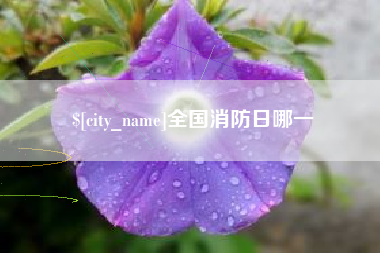 德阳全国消防日哪一