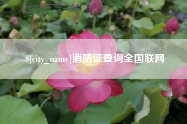 德阳消防证查询全国联网