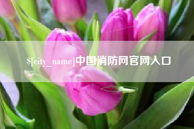德阳中国消防网官网入口