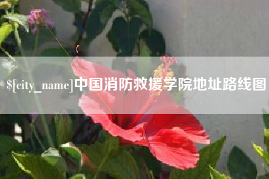 德阳中国消防救援学院地址路线图