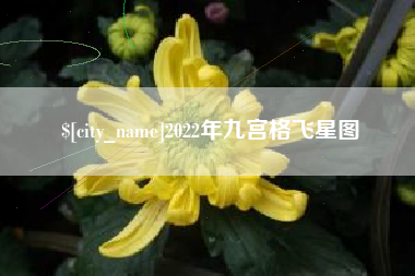 德阳2022年九宫格飞星图
