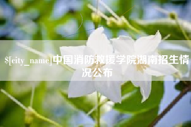 德阳中国消防救援学院湖南招生情况公布