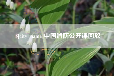 德阳中国消防公开课回放