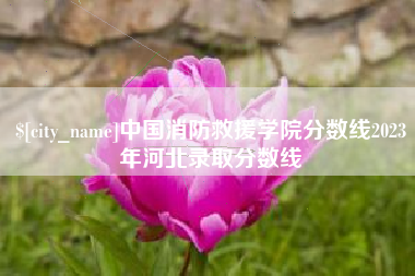 德阳中国消防救援学院分数线2023年河北录取分数线