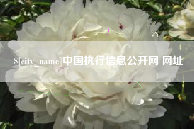 德阳中国执行信息公开网 网址