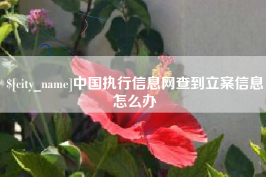 德阳中国执行信息网查到立案信息怎么办
