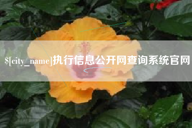德阳执行信息公开网查询系统官网