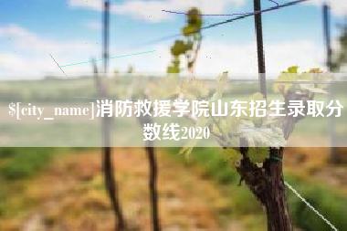 德阳消防救援学院山东招生录取分数线2020