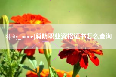 德阳消防职业资格证书怎么查询