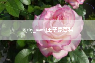 德阳王子豪百科