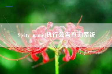 德阳执行公告查询系统