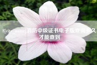 德阳消防中级证书电子版查询多久才能查到