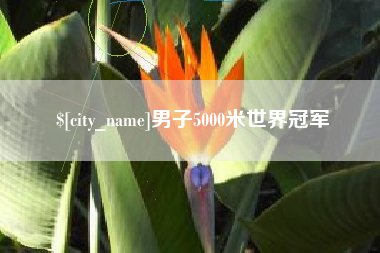 德阳男子5000米世界冠军