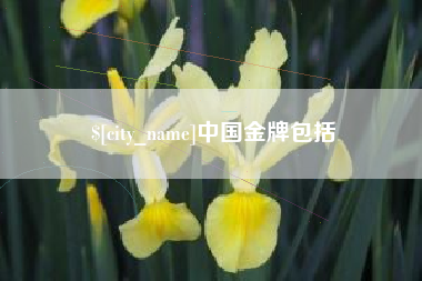 德阳中国金牌包括