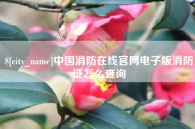 德阳中国消防在线官网电子版消防证怎么查询