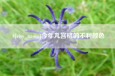 德阳今年九宫格的不利颜色