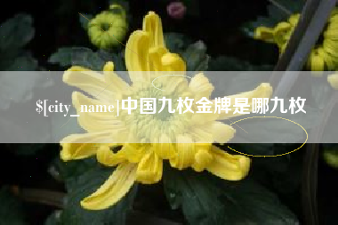 德阳中国九枚金牌是哪九枚