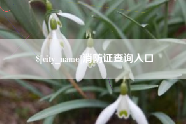 德阳消防证查询入口
