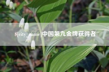 德阳中国第九金牌获得者