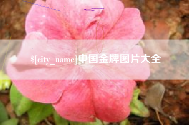 德阳中国金牌图片大全