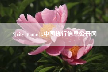 德阳1.中国执行信息公开网