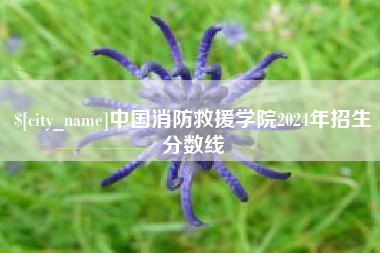德阳中国消防救援学院2024年招生分数线