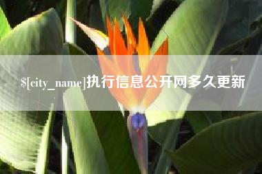 德阳执行信息公开网多久更新