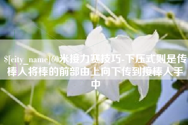德阳60米接力赛技巧-下压式则是传棒人将棒的前部由上向下传到接棒人手中