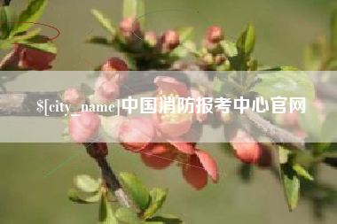 德阳中国消防报考中心官网