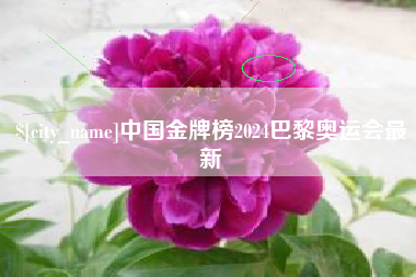 德阳中国金牌榜2024巴黎奥运会最新