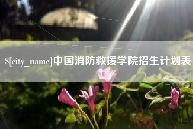 德阳中国消防救援学院招生计划表