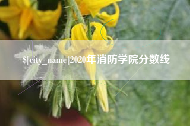德阳2020年消防学院分数线