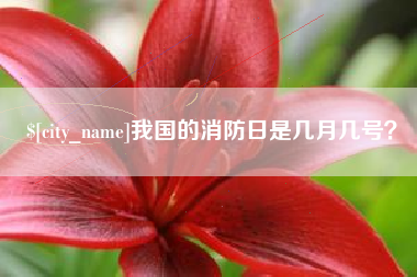 德阳我国的消防日是几月几号？