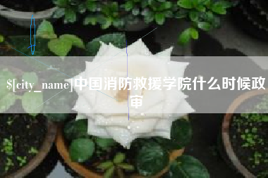 德阳中国消防救援学院什么时候政审