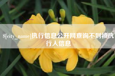 德阳执行信息公开网查询不到被执行人信息