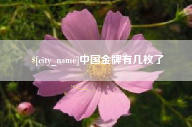 德阳中国金牌有几枚了