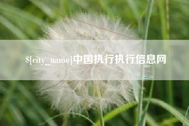 德阳中国执行执行信息网