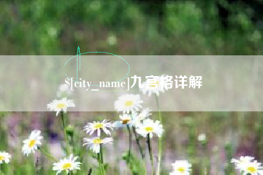 德阳九宫格详解