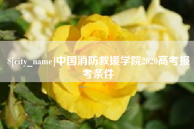 德阳中国消防救援学院2020高考报考条件