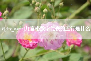 德阳九宫格数字代表的五行是什么