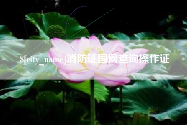 德阳消防证国网查询操作证