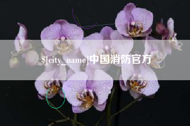 德阳中国消防官方