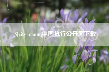 德阳中国执行公开网下载