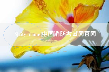 德阳中国消防考试网官网