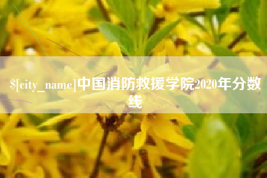 德阳中国消防救援学院2020年分数线