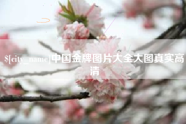 德阳中国金牌图片大全大图真实高清