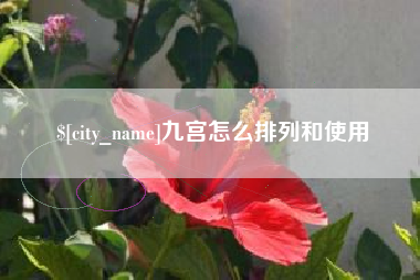 德阳九宫怎么排列和使用
