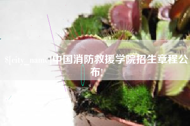 德阳中国消防救援学院招生章程公布!