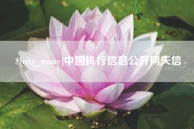 德阳中国执行信息公开网失信